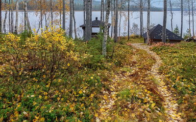 Lomaväinö 13
