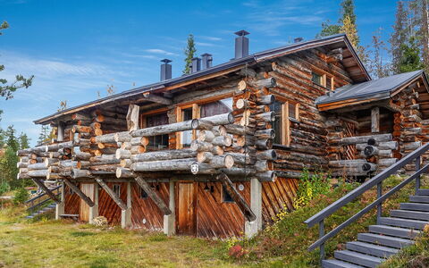 Sallanhelmi C2: Legna, Villetta, Log Cabin, Foresta, Capannone, Edifici Giardino, Larice, Woodland, Color Legno