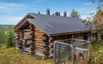 Sallanhelmi C2