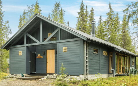 Sinikuono: Legna, Villetta, Log Cabin, Foresta, Capannone, Edifici Giardino, Larice, Woodland, Color Legno