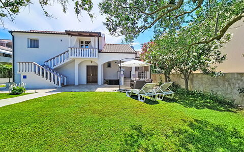 Tone: Zona Residenziale, Casa, Casa, Estate, Shade, Prato, Giardino, Landscaping, Hacienda, Balcone