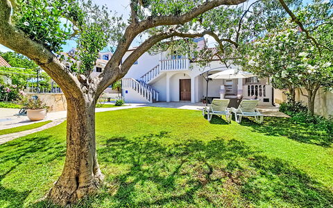 Tone: Giardino, Prato, Shade, Estate, Landscaping, Cortile, Hacienda, Dimora, Design, Villa