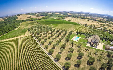 Villa Le Buche: Cielo, Pianta, Paesaggio Naturale, Albero, Lotto, Agricoltura, Erba, Plain, Pascolo, Urban Design