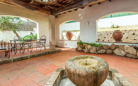La Gargouille: Pianta, Proprietà, Vaso Di Fiori, Legna, Divano, Botanica, Interior Design, Tavolo, Pianta Della Casa, Soggiorno