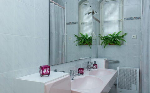 Thuja: Rubinetto, Idraulico Fixture, Proprietà, Lavello, Pianta, Costruzione, Lavandino Del Bagno, Finestra, Architettura