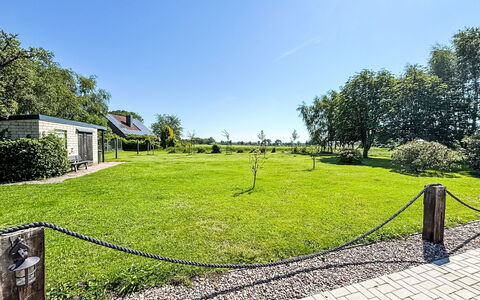 Esens 165: Paesaggio, Giardino, Lotto, Plain, Prato, Shade, Landscaping, Prato, Parco