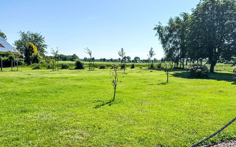 Esens 165: Cielo, Erba, Verde, Albero, Ambiente Naturale, Pascolo, Plain, Lotto, Prato, Pascolo