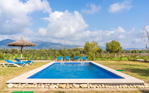 Son Bordoi: Cielo, Acqua, Pianta, Nube, Proprietà, Piscina, Azzurro, Albero, Rettangolo, Lotto