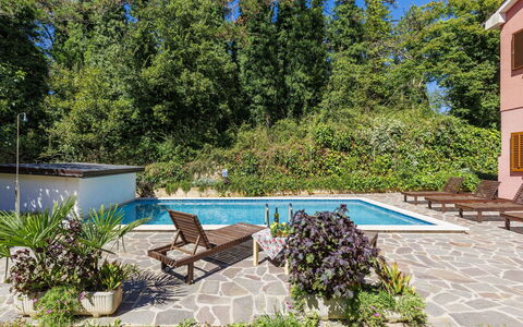 Vinka: Pianta, Acqua, Piscina, Azzurro, Botanica, Shade, Mobili Da Esterno, Vegetazione, Albero, Arbusto