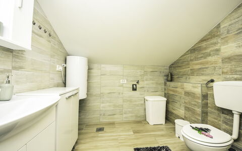 Vir 127: Toilet Seat, Gabinetto, Bianca, Costruzione, Bagno, Idraulico Fixture, Nero, Viola, Pavimento, Pavimentazione