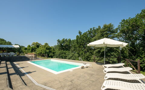 Grezzano Villa: Cielo, Albero, Piscina, Shade, Mobili Da Esterno, Lotto, Arecales, Erba, Tempo Libero, Paesaggio