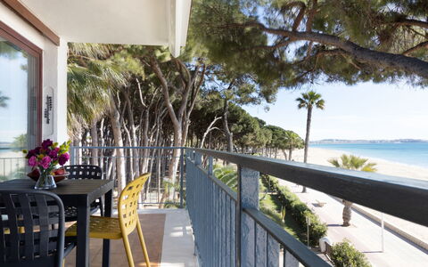 Reus Mediterraneo: Pianta, Costruzione, Cielo, Acqua, Tavolo, Finestra, Sedia, Albero, Legna, Shade