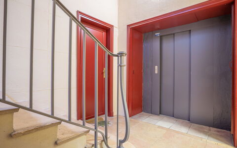 Broussais: Costruzione, Legna, Sala, Pavimentazione, Pavimento, Parete, Proprietà Del Materiale, Latifoglie, Materiale Composito