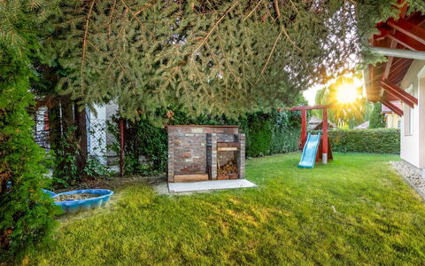 Silver Pinea: Pianta, Foglia, Albero, Vegetazione, Erba, Paesaggio, Sedia, Paesaggio Naturale, Arbusto, Woody Impianto