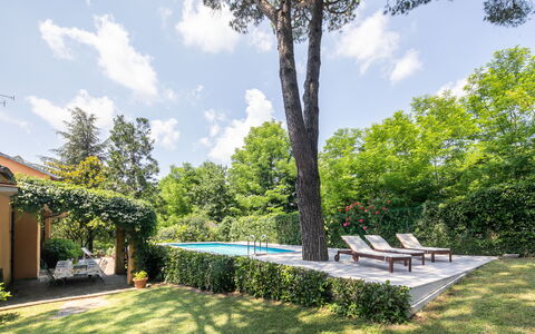 Villa Del Mugello: Nube, Cielo, Pianta, Albero, Shade, Paesaggio Naturale, Lotto, Mobili Da Esterno, Arbusto, Erba