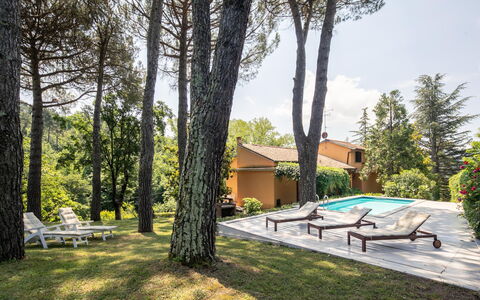 Villa Del Mugello: Pianta, Costruzione, Proprietà, Cielo, Shade, Albero, Casa, Lotto, Nube, Piscina