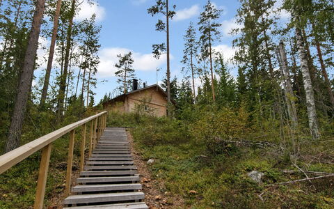 Kaitaranta: Legna, Villetta, Log Cabin, Foresta, Capannone, Edifici Giardino, Larice, Woodland, Color Legno