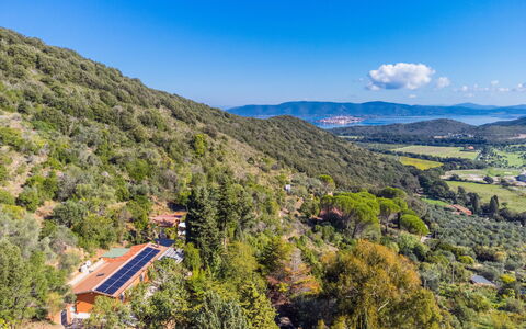La Tordara: Cielo, Nube, Pianta, Albero, Manto Stradale, Asfalto, Lotto, Casa, Materiale Composito, Recinzione
