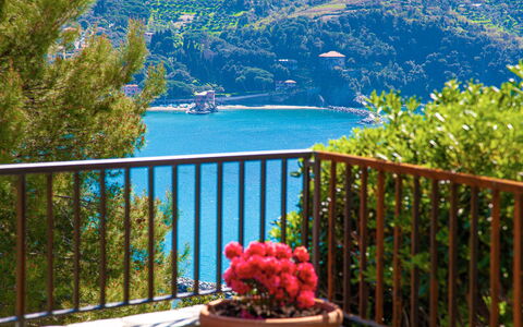 Marlà - Levanto: Acqua, Pianta, Proprietà, Fiore, Recinzione, Costruzione, Azzurro, Albero, Casa, Cielo