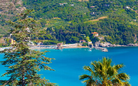 Marlà - Levanto: Acqua, Pianta, Natura, Azzurro, Albero, Vegetazione, Paesaggio Naturale, Lago, Corpo D'Acqua, Spiaggia