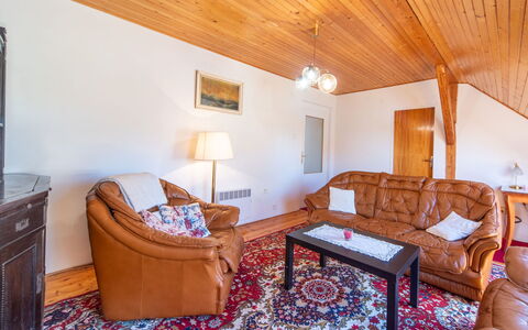 Sudoměřice: Soffitto, Camera, Mobilia, Casa, Soggiorno, Latifoglie, Divano, Color Legno, Pavimento In Legno