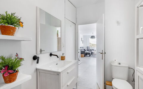 Leonor: Pianta, Vaso Di Fiori, Bianca, Pianta Della Casa, Costruzione, Lavello, Bagno, Interior Design, Legna, Pavimento