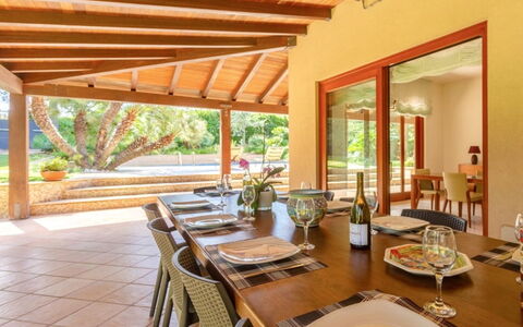 Vittoria: Tavolo, Mobilia, Pianta, Proprietà, Sedia, Tavola, Interior Design, Legna, Finestra, Vaso Di Fiori