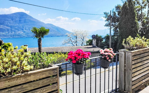 Brissago 724: Vaso Di Fiori, Recinzione, Balcone, Pianta Della Casa, Shade, Home Scherma, Portico, Fiorai, Eco Hotel