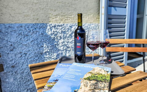 Brissago 724: Tempo Libero, Mobili Da Esterno, Vacanza, Vino