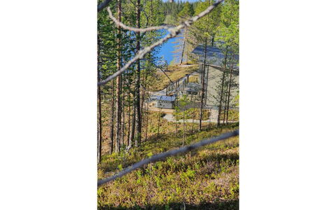 Villa Kallas: Albero, Ambiente Naturale, Foglia, Ramo, Legna, Foresta, Natura Selvaggia, Comunita 'Impianto, Tronco, Woodland