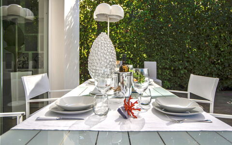 Re di Denari: Tavola, Tavolo, Pianta, Mobilia, Proprietà, Bicchieri, Dishware, Tovaglia, Sedia, Stemware