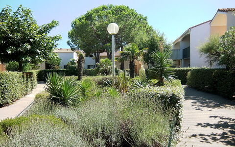 Saint Cyprien 700: Pianta, Cielo, Costruzione, Comunita 'Impianto, Natura, Finestra, Albero, Street Luce, Paesaggio Naturale, Casa