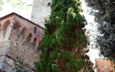 Tower: Costruzione, Proprietà, Finestra, Pianta, Cielo, Albero, Facciata, Punto Di Riferimento, Casa, Erba