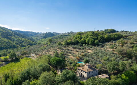 Poggio Cuccule: Cielo, Pianta, Nube, Comunita 'Impianto, Montagna, Ambiente Naturale, Paesaggio Naturale, Lotto, Albero, Terreno
