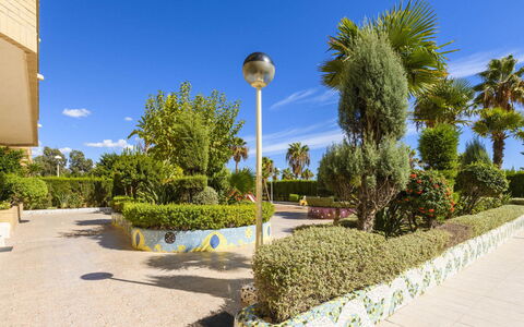 Cala Blanca i: Giardino, Shade, Landscaping, Eco Hotel, Hedge, Ricorrere, Hacienda, Villa, Giardino Botanico