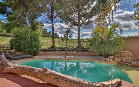 La Pinède: Acqua, Pianta, Cielo, Nube, Proprietà, Natura, Botanica, Piscina, Albero, Erba