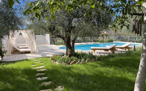 Villa Mimosa - Diano Marina: Pianta, Shade, Albero, Cielo, Lotto, Mobili Da Esterno, Tempo Libero, Erba, Paesaggio Naturale, Paesaggio