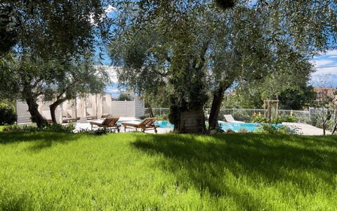 Villa Mimosa - Diano Marina: Pianta, Comunita 'Impianto, Albero, Paesaggio Naturale, Shade, Lotto, Nube, Erba, Pascolo, Tempo Libero