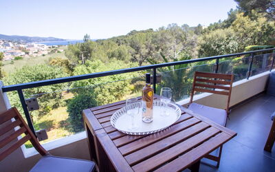 Bormes-Les-Mimosas 201