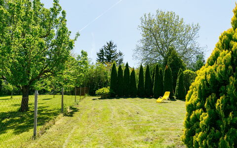 Csilla: Pianta, Cielo, Paesaggio Naturale, Albero, Lotto, Erba, Sempreverde, Paesaggio, Groundcover, Pascolo