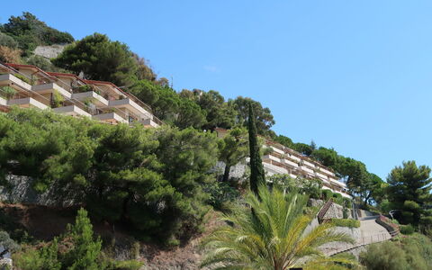 Ventimiglia 633: Cielo, Costruzione, Pianta, Comunita 'Impianto, Albero, Vegetazione, Arecales, Casa, Paesaggio Naturale, Quartiere