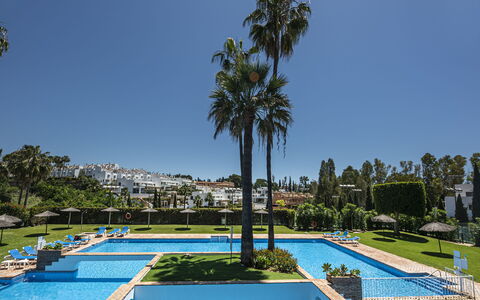 Las Ranas: Acqua, Cielo, Pianta, Blu, Piscina, Albero, Shade, Arecales, Urban Design, Condominio