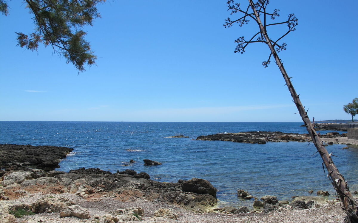 Apartment Cala Bona