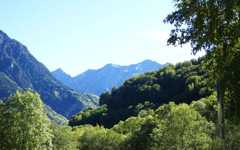 Chalet al Portic: Geografia Montane, Montagna, Verde, Foglia, Albero, Natura, Ambiente Naturale, Vegetazione, Paesaggio Naturale, Collina
