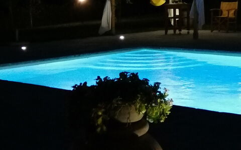 Il Pozzo Di San Barnaba: Acqua, Pianta, Vaso Di Fiori, Luce, Pianta Della Casa, Cielo, Interior Design, Rettangolo, Piscina, Erba