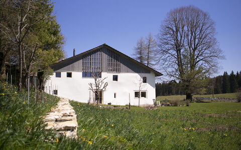 Appartements - N°5 et N°5B: Pianta, Cielo, Costruzione, Finestra, Albero, Paesaggio Naturale, Casa, Fiore, Lotto, Erba