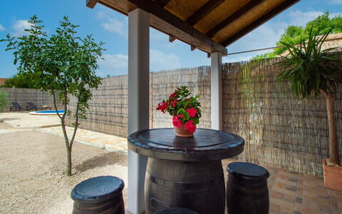 Nina: Fiore, Pianta, Cielo, Vaso Di Fiori, Nube, Pianta Della Casa, Costruzione, Canna, Legna, Shade