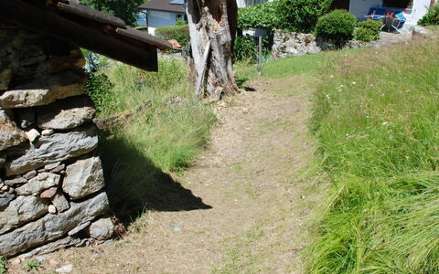 Baita Monti di Piazzogna: Pianta, Proprietà, Comunita 'Impianto, Albero, Lotto, Erba, Biome, Paesaggio Naturale, Casa, Roccia Di Fondo