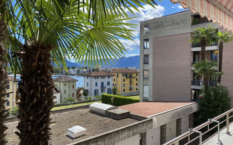 Rex App. 3: Giorno, Proprietà, Pianta, Costruzione, Albero, Finestra, Urban Design, Vegetazione, Quartiere, Condominio