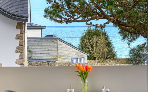 Port Haliguen Plaisance: Piscina, Materiale Composito, Appartamento, Condominio, Villa, Landscaping, Ricorrere, Hotel, Balcone, Eco Hotel